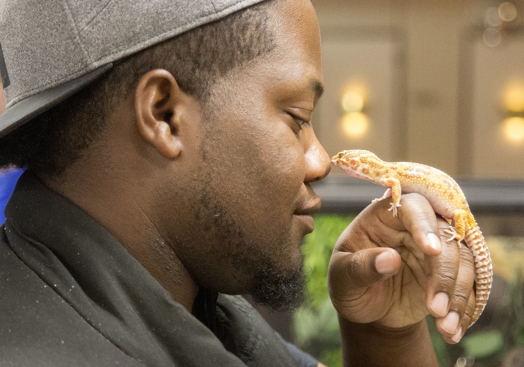 Show Me Reptile and Exotics Show